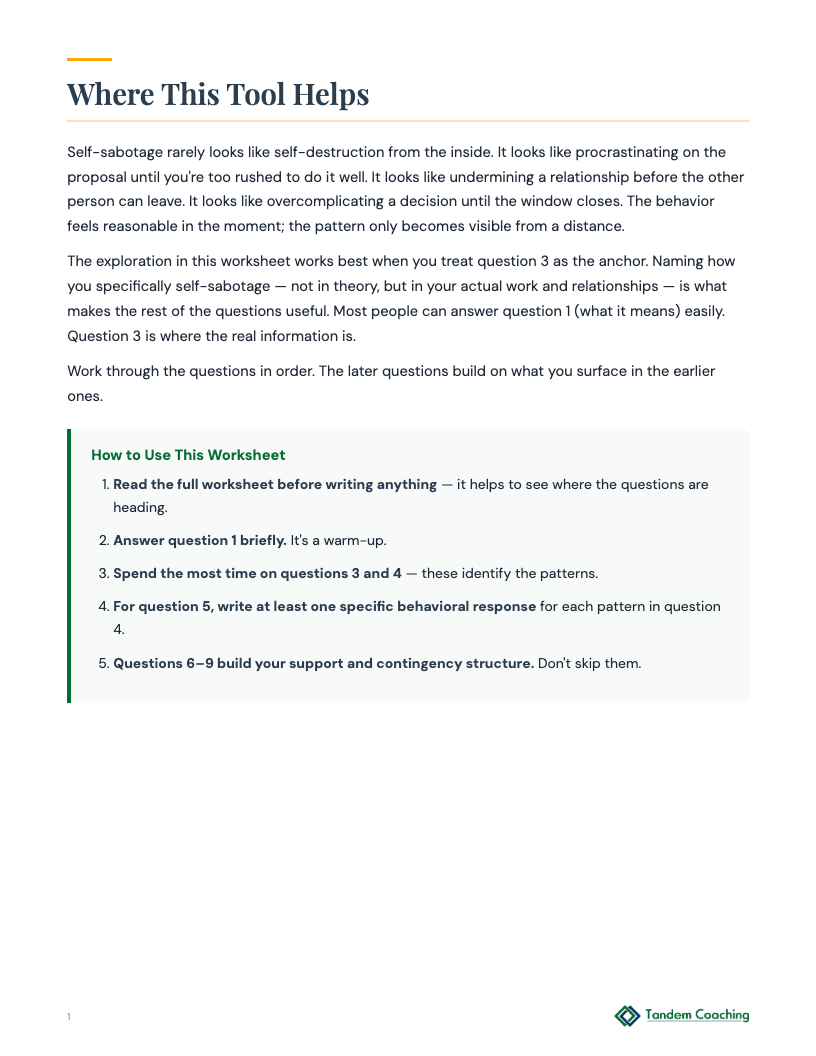 Self-Sabotage Pattern Tracker - preview