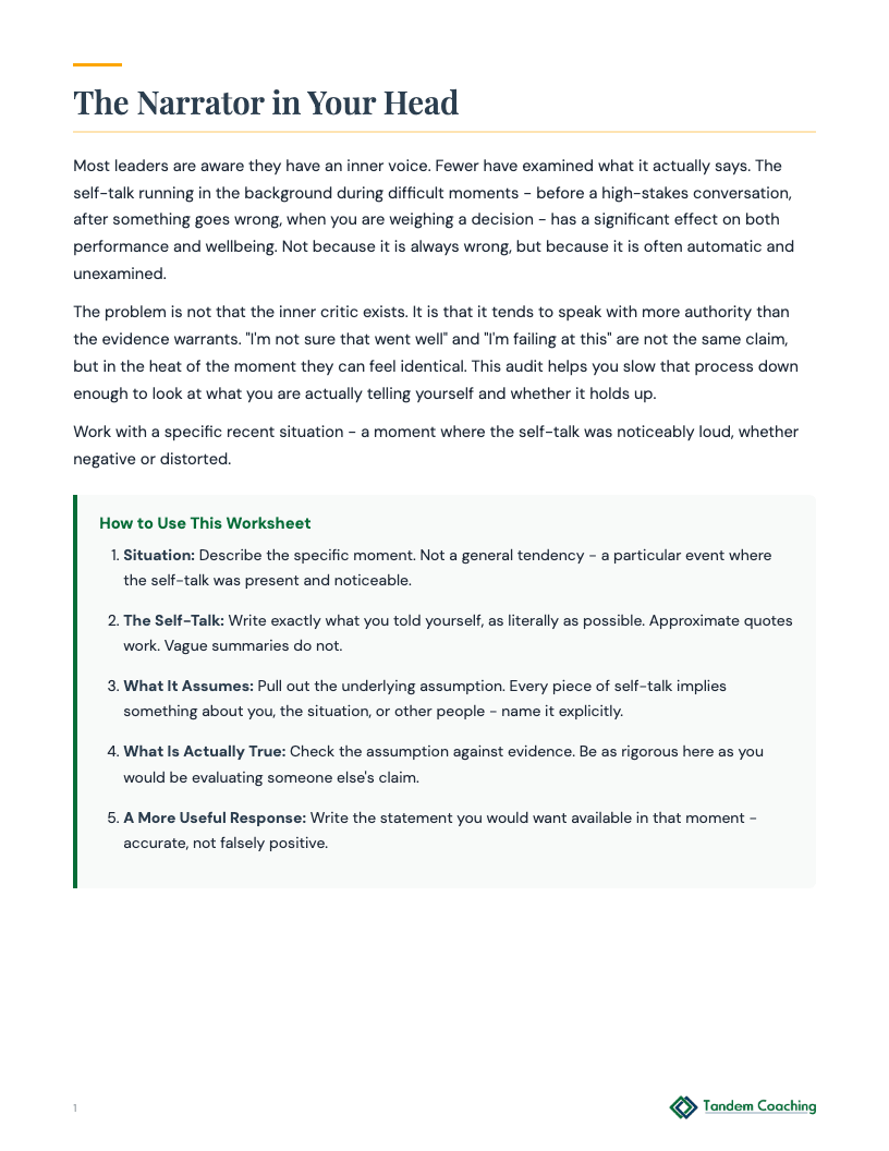 Self-Talk Audit - preview