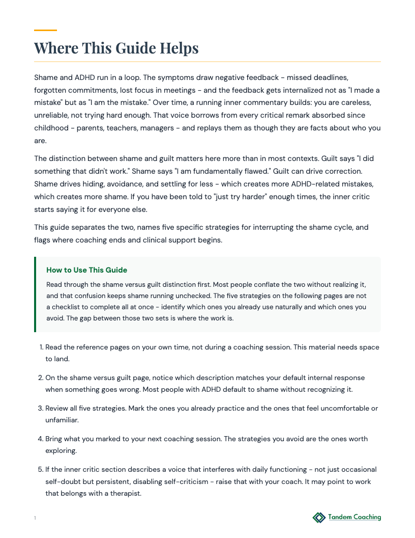 Shame and Inner Critic Guide - preview