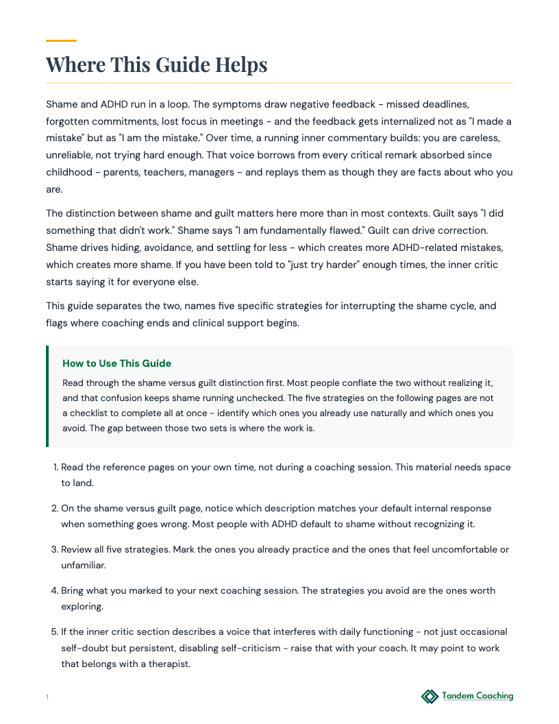 Shame and Inner Critic Guide - preview