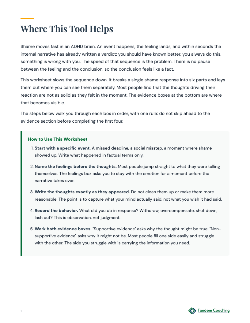 Shame-to-Compassion Worksheet - preview