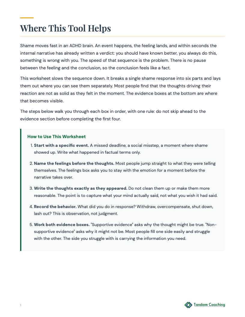 Shame-to-Compassion Worksheet - preview