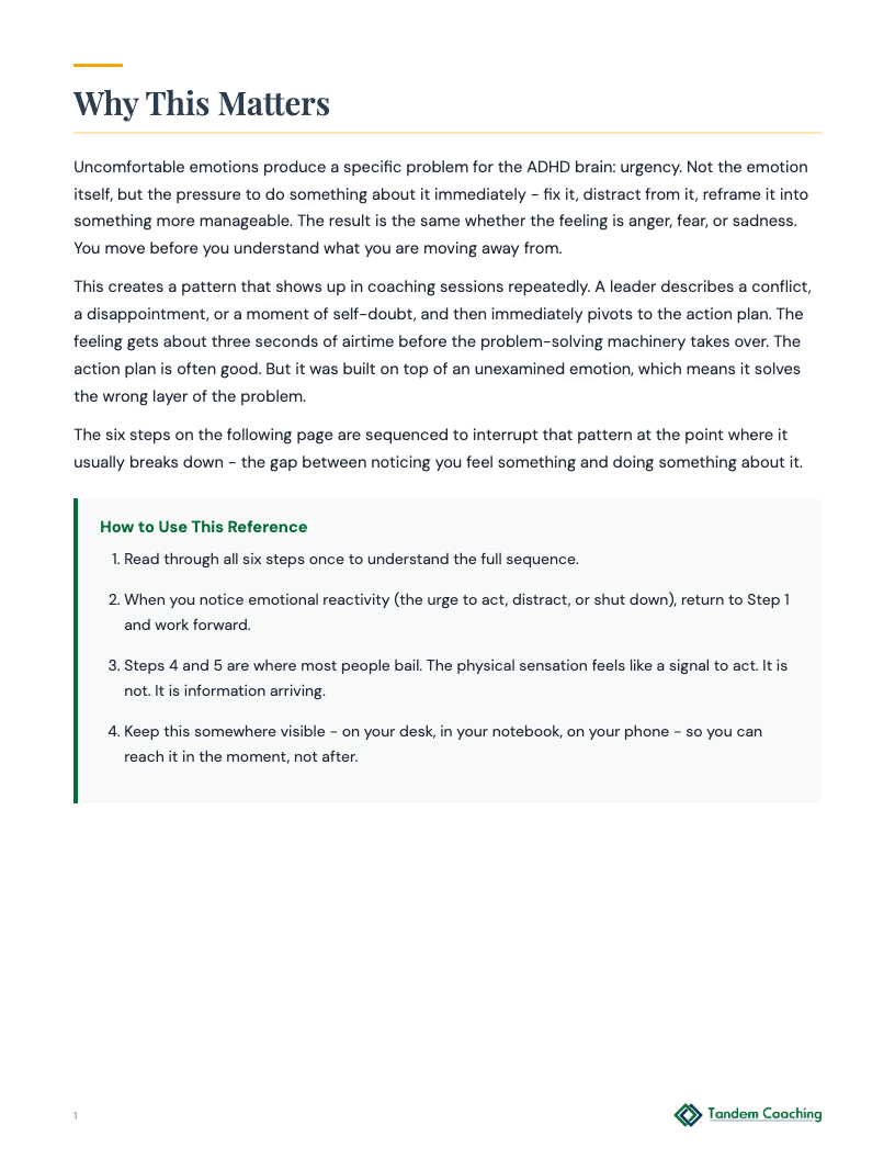 Sitting with Feelings - preview