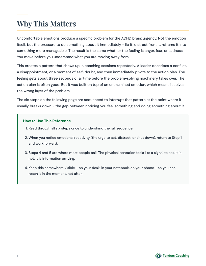 Sitting with Feelings - preview