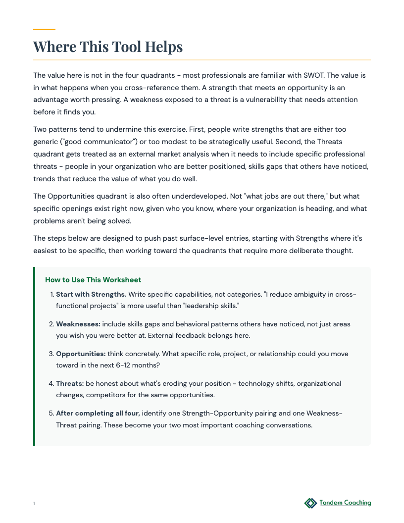 Skills and Strengths Inventory (Professional) - preview