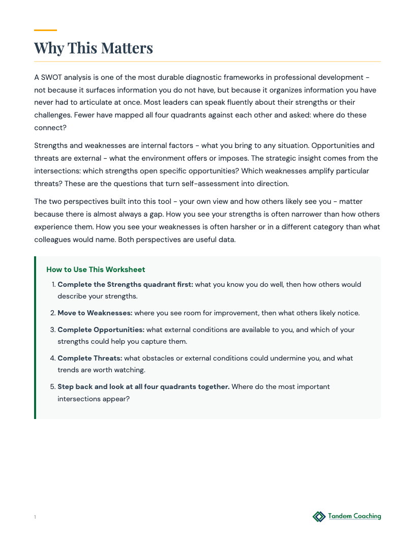 Strengths and Weaknesses - preview