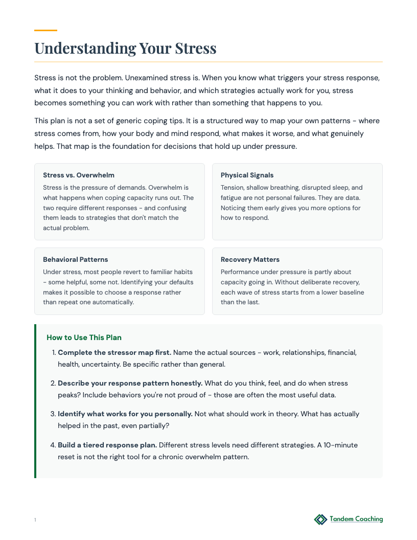 Stress Management Plan - preview
