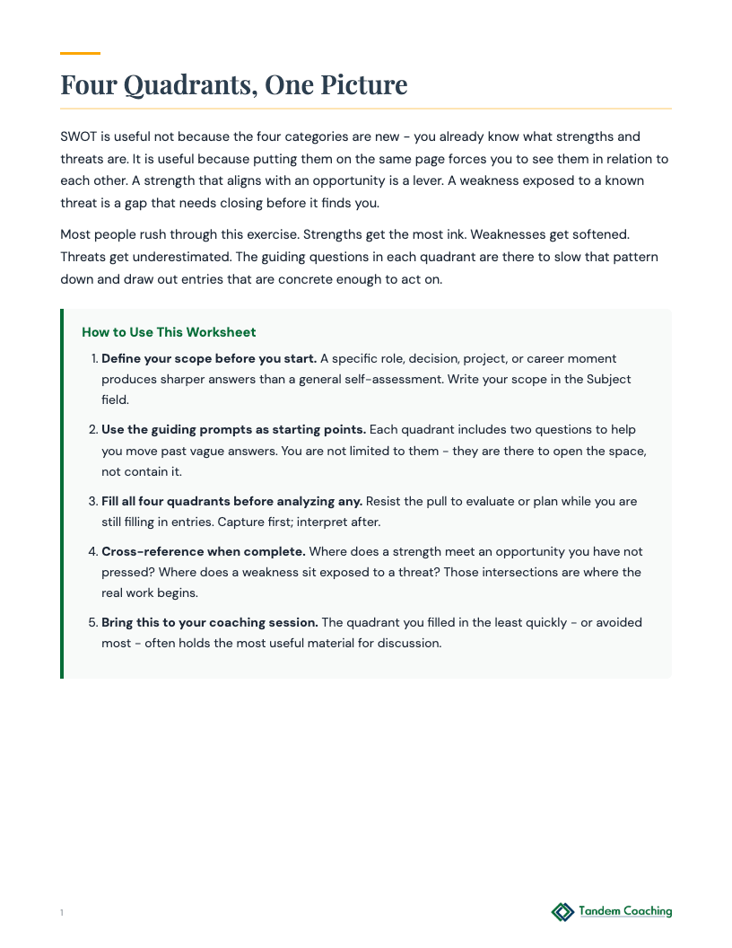 SWOT Analysis (Guided) - preview