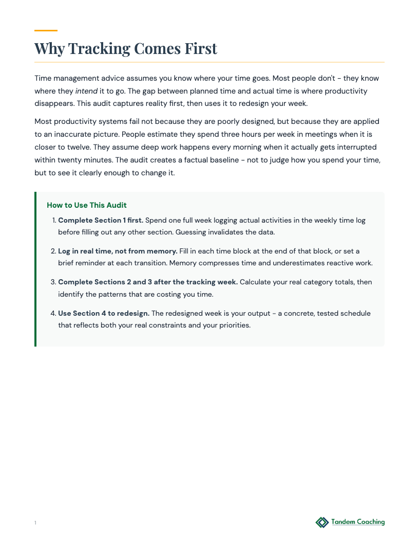 Time Management Audit - preview