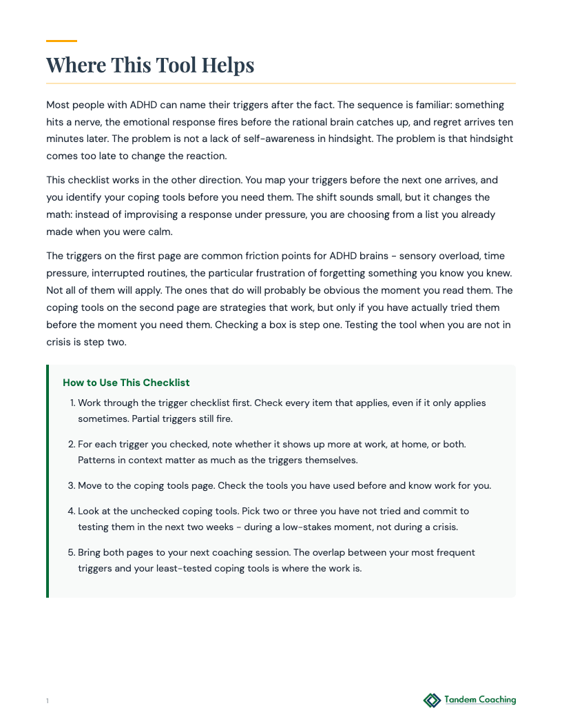Triggers and Coping Tools Checklist - preview