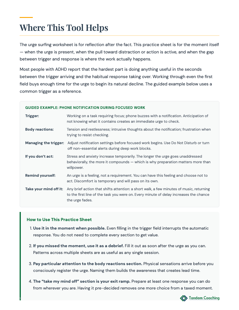 Urge Surfing Practice Sheet - preview