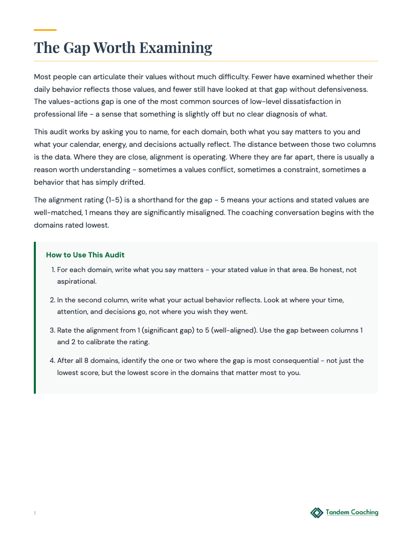 Values vs. Actions Audit - preview