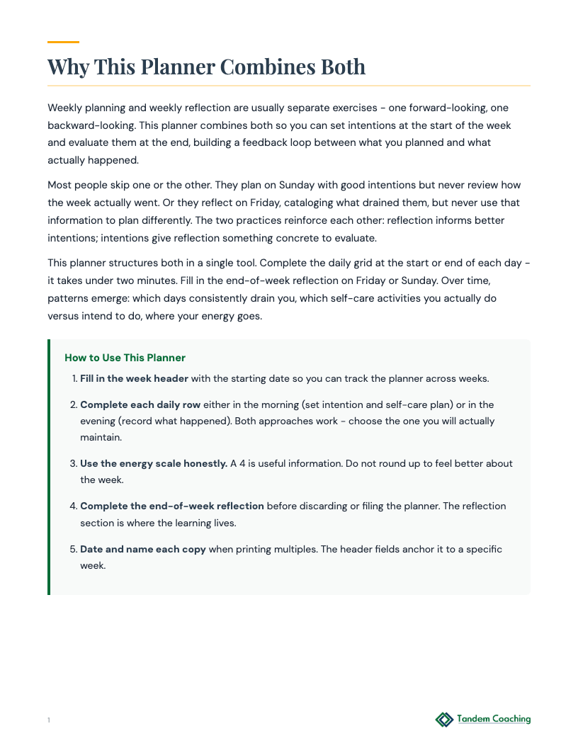 Weekly Reflection Planner - preview