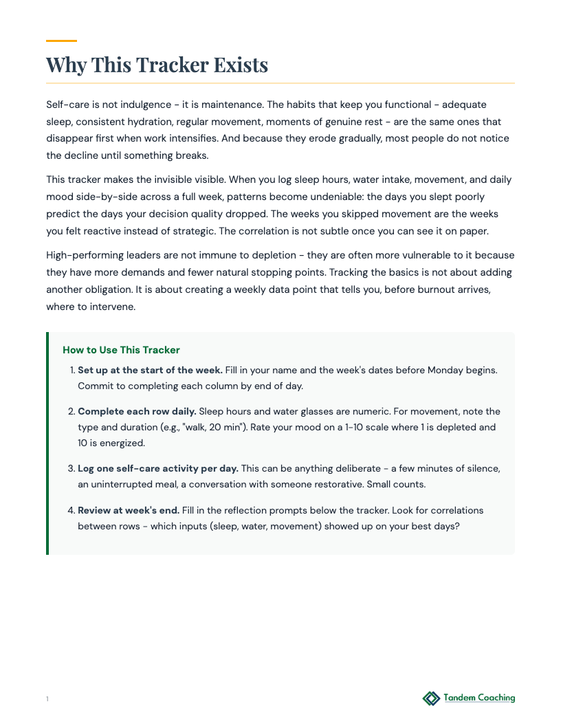 Weekly Self-Care Tracker - preview