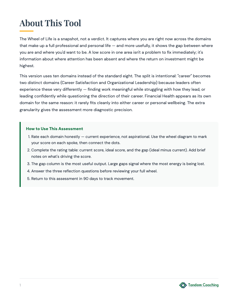 Wheel of Life (10-Domain) - preview