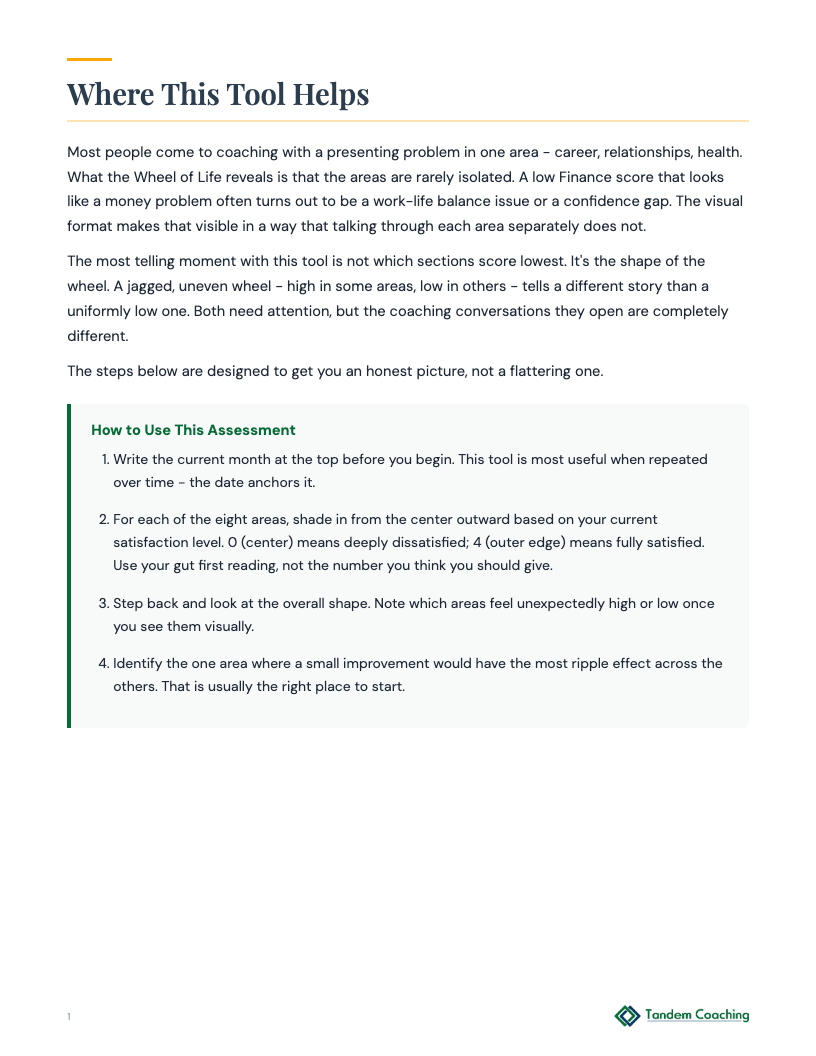 Wheel of Life Assessment - preview