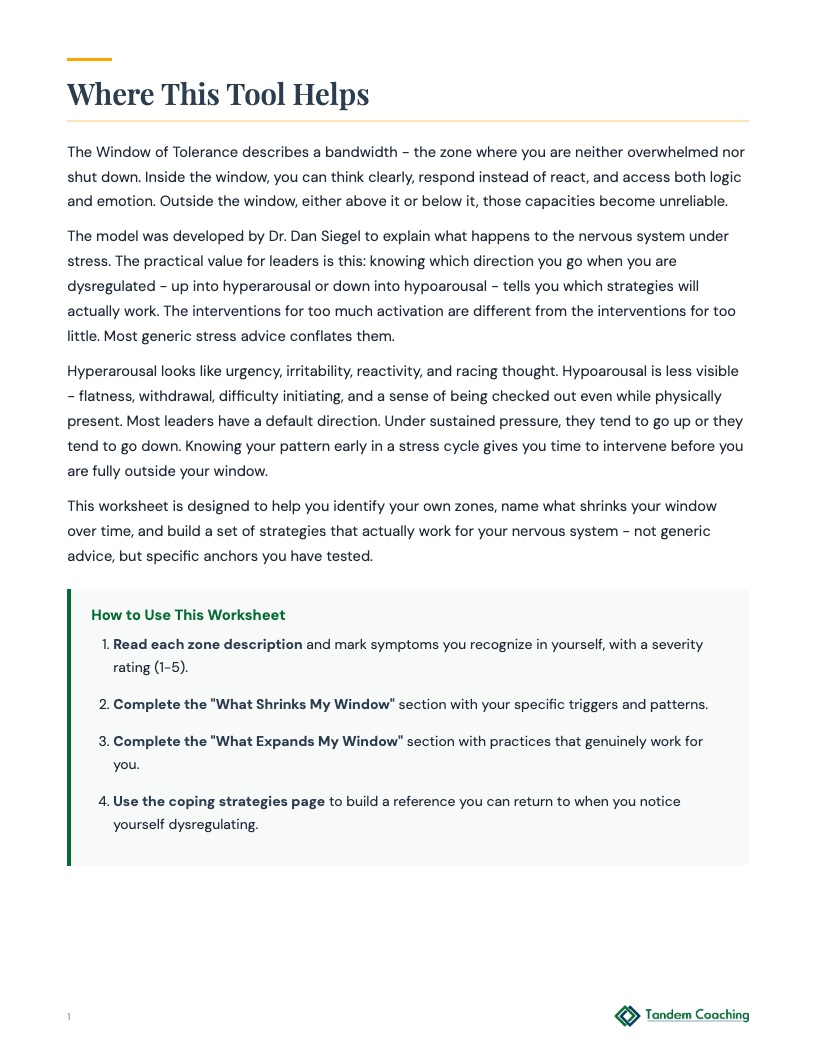 Window of Tolerance Worksheet - preview