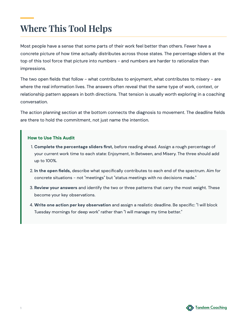 Work Satisfaction Audit - preview