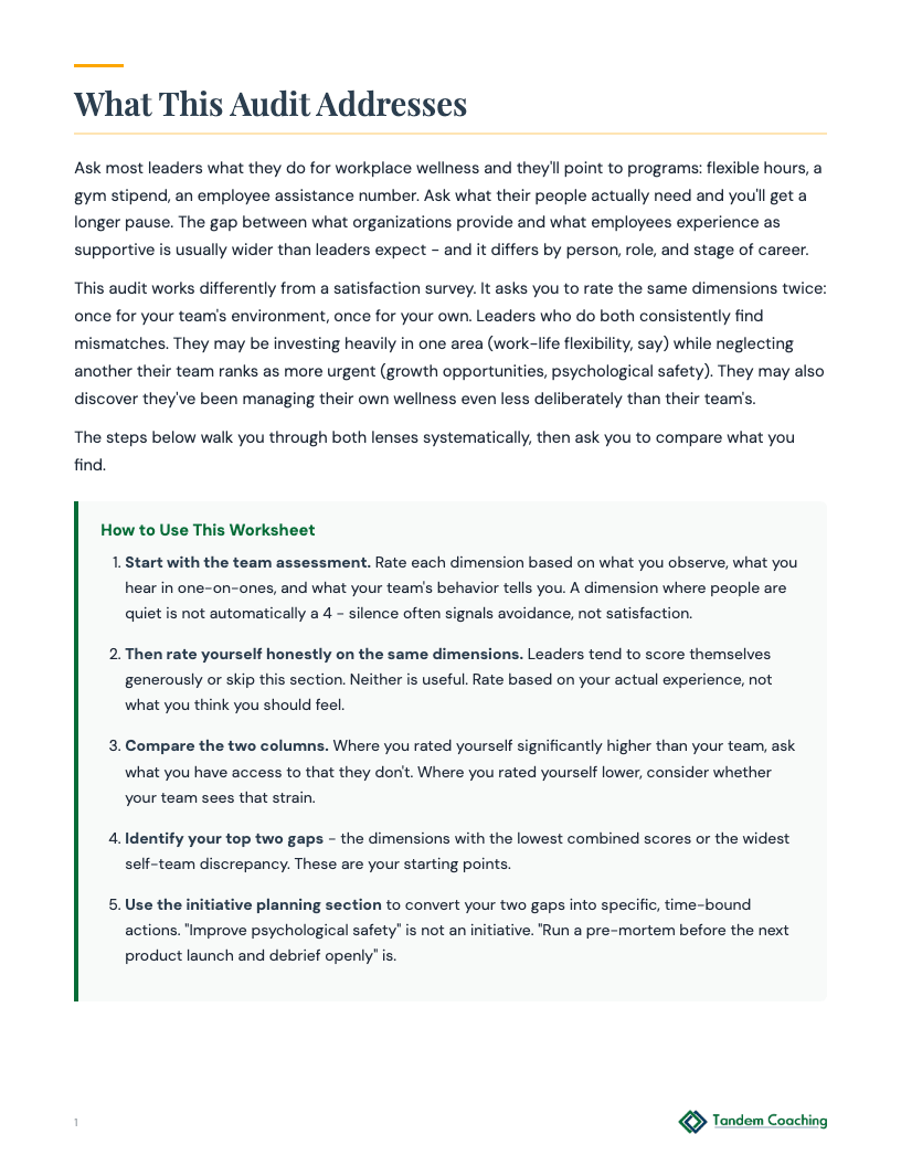 Workplace Wellness Audit - preview