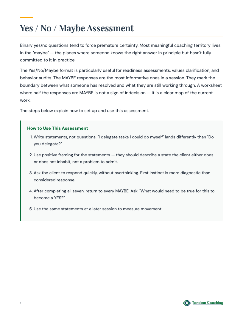 Yes / No / Maybe Assessment - preview