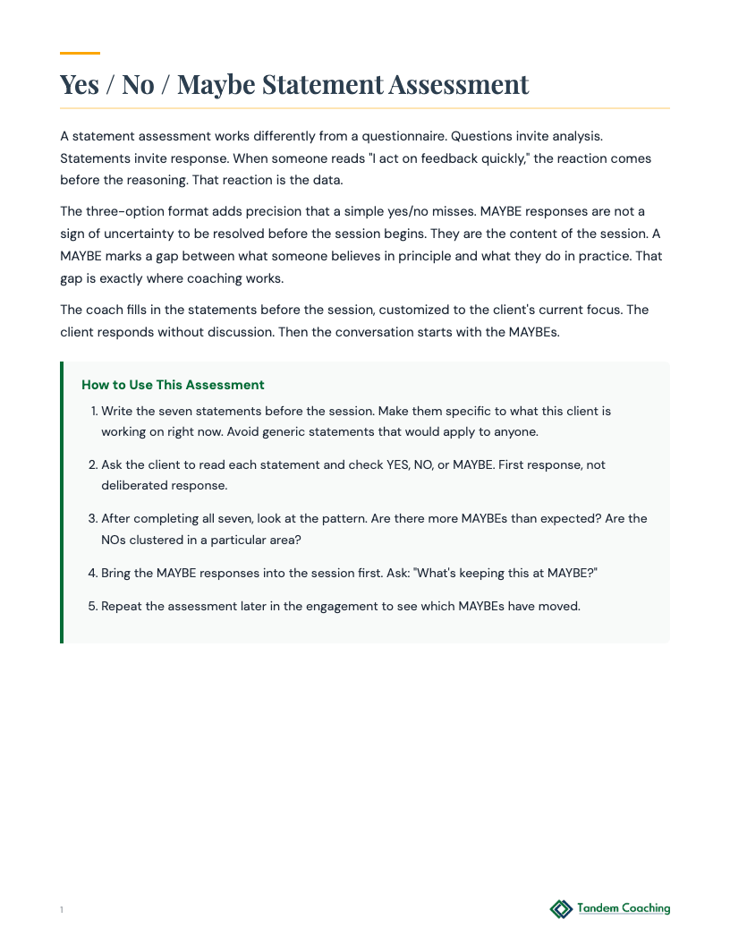 Yes / No / Maybe Statement Assessment - preview