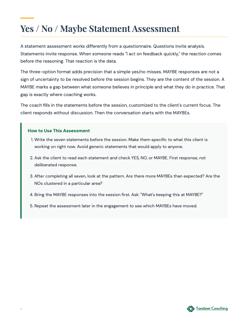 Yes / No / Maybe Statement Assessment - preview