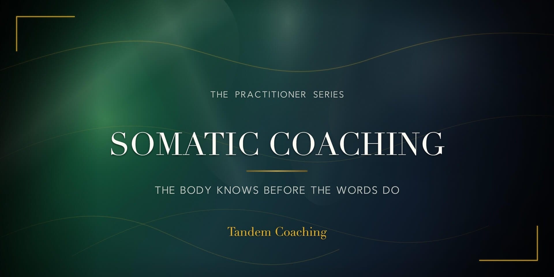 Somatic Coaching splash