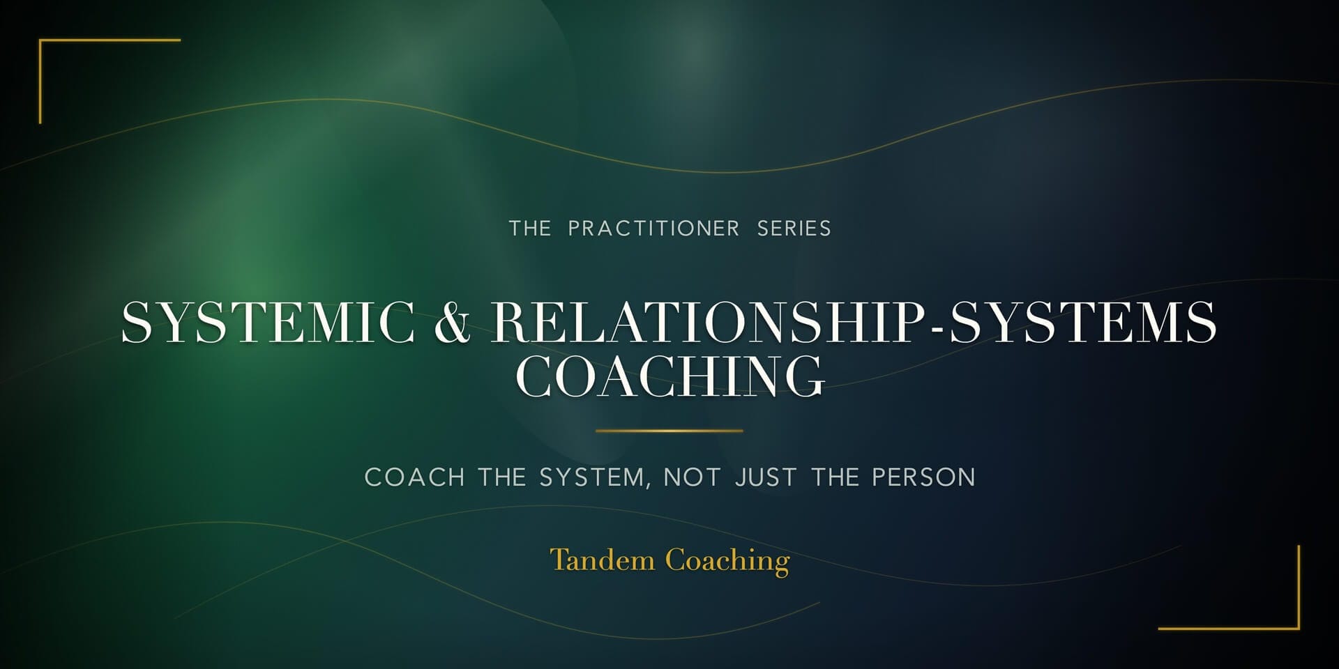 Systemic Coaching for Executive Teams course splash