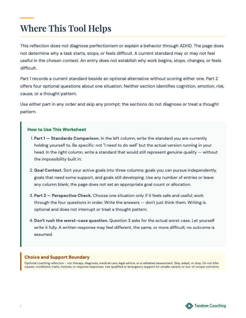 Standards and Perspective Reflection - preview