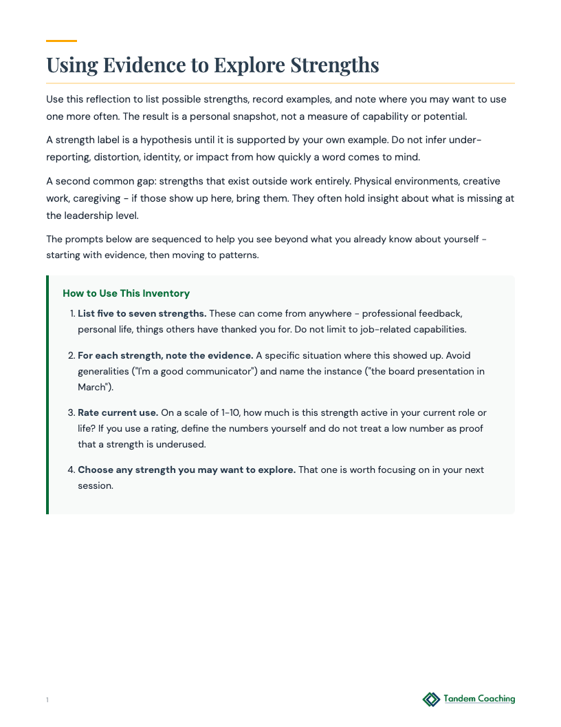 Strengths Evidence Reflection - preview