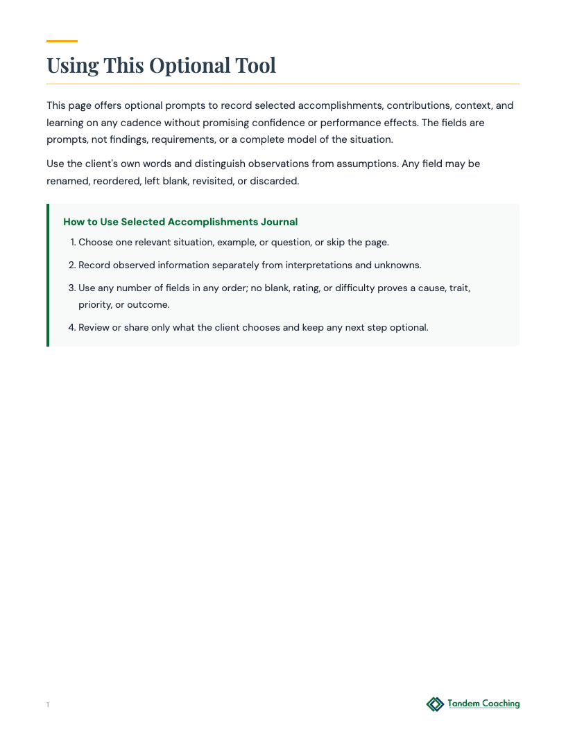 Selected Accomplishments Journal - preview