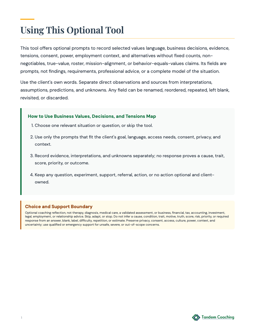 Business Values, Decisions, and Tensions Map - preview