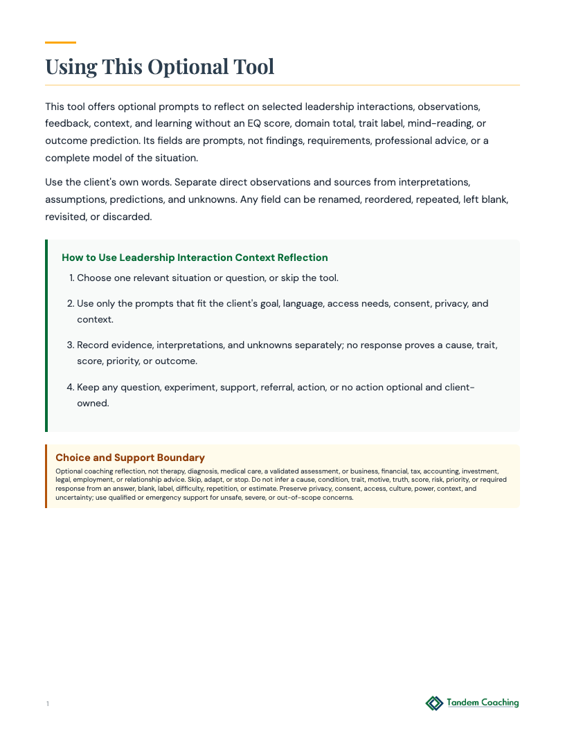 Leadership Interaction Context Reflection - preview