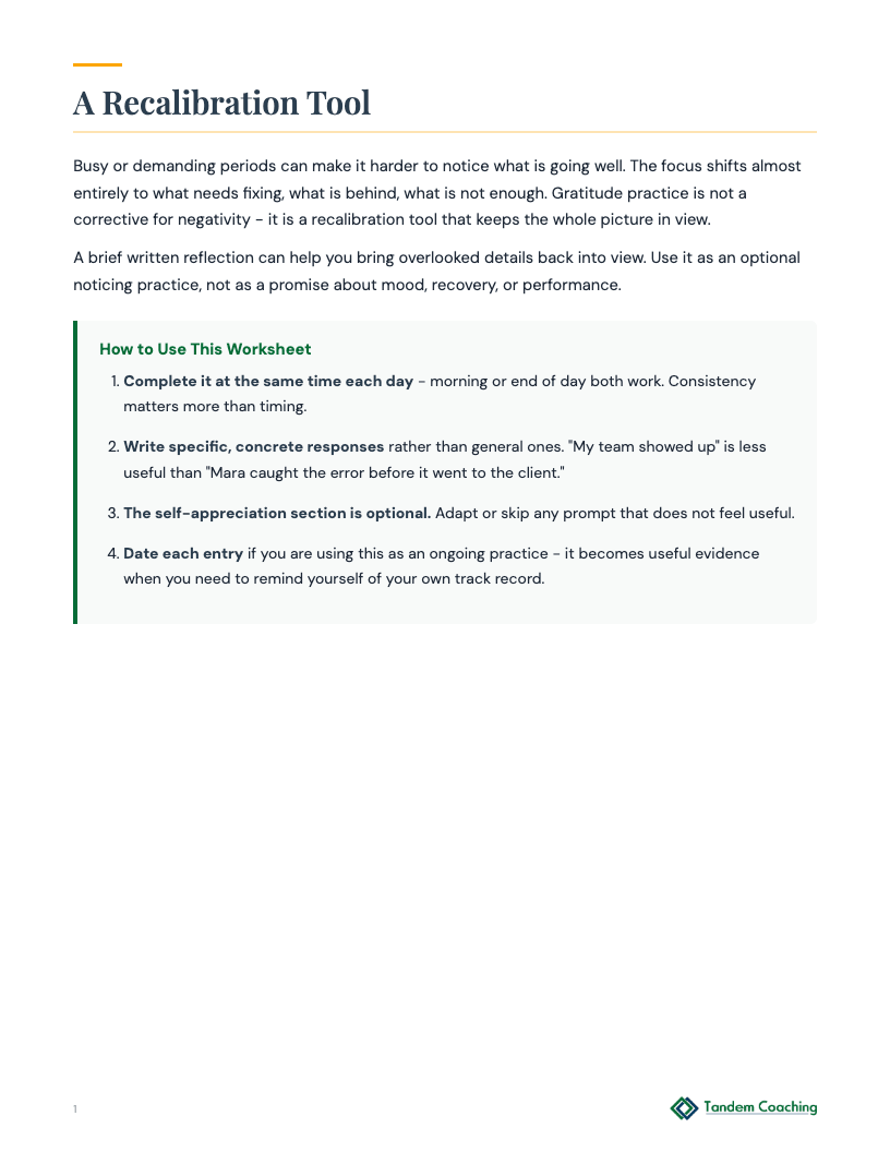 Gratitude Reflection Worksheet - preview