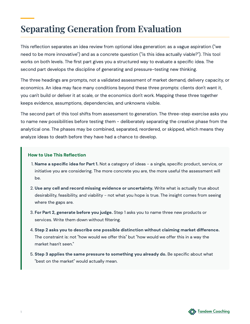 Idea Feasibility and Options Reflection - preview