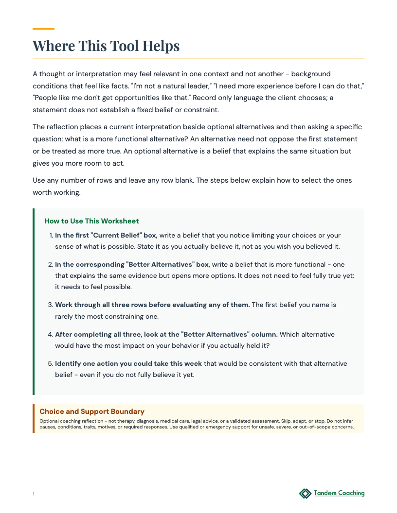 Belief Alternatives Reflection - preview