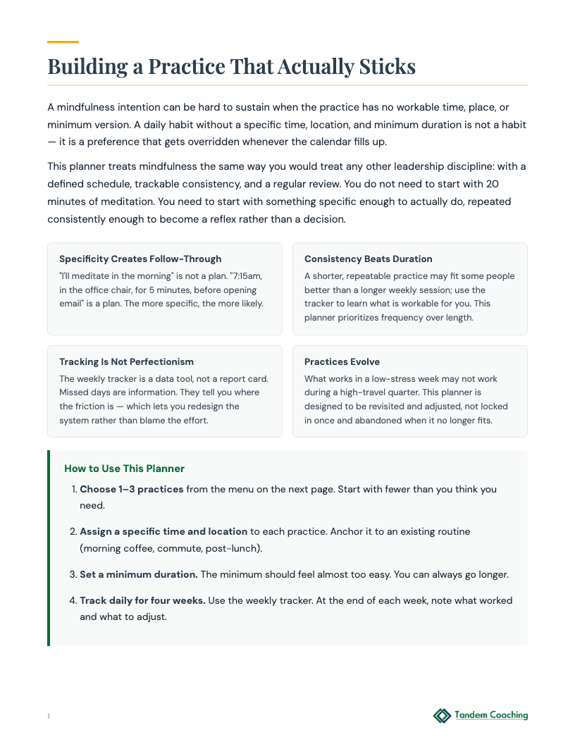Mindfulness Practice Planner - preview