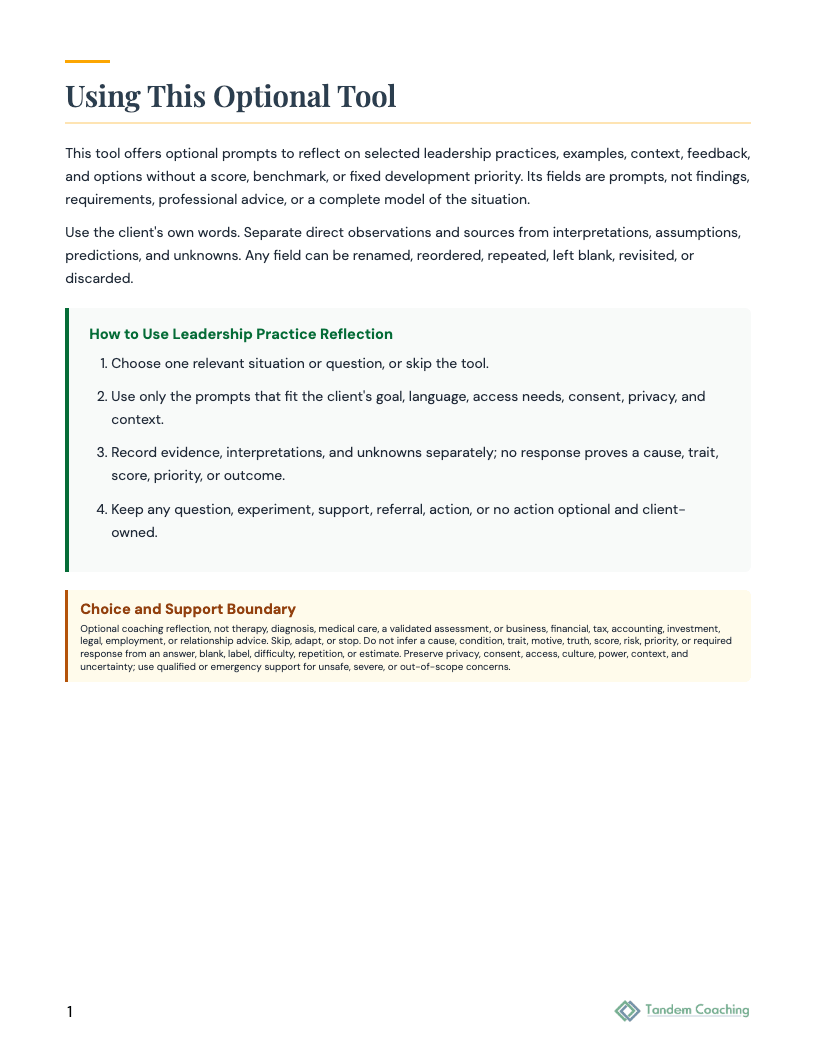 Leadership Practice Reflection - preview